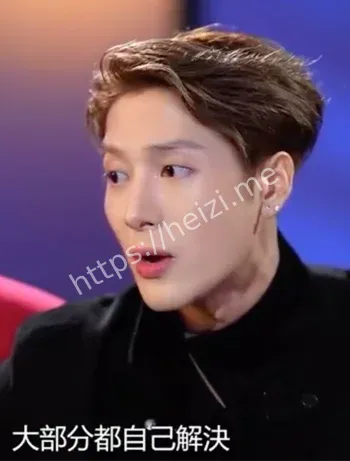 王嘉尔真实发言